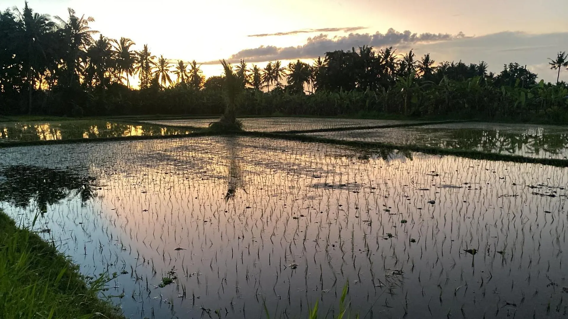 Villa Maison Blanche Ubud